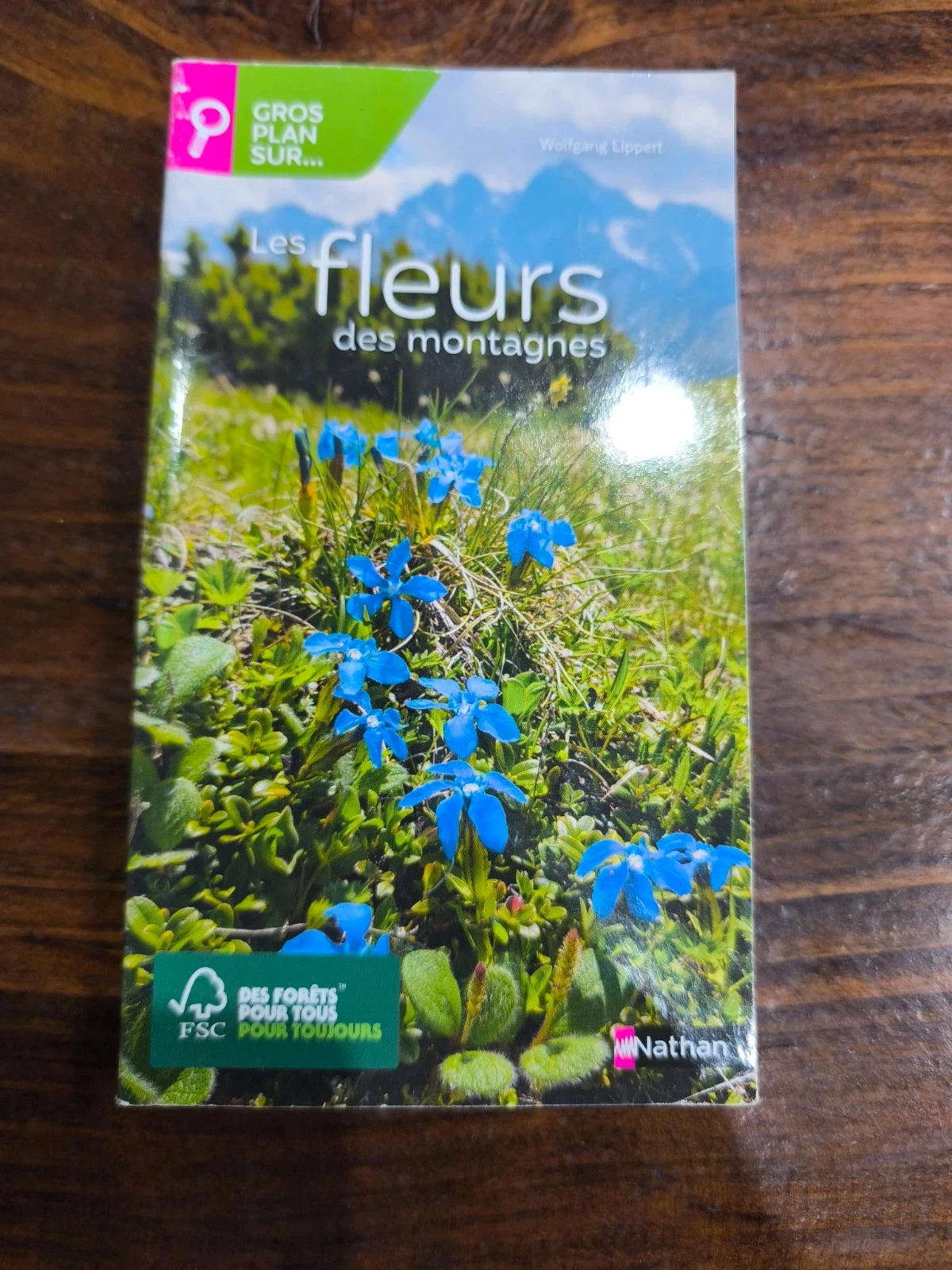 Les fleurs des montagnes